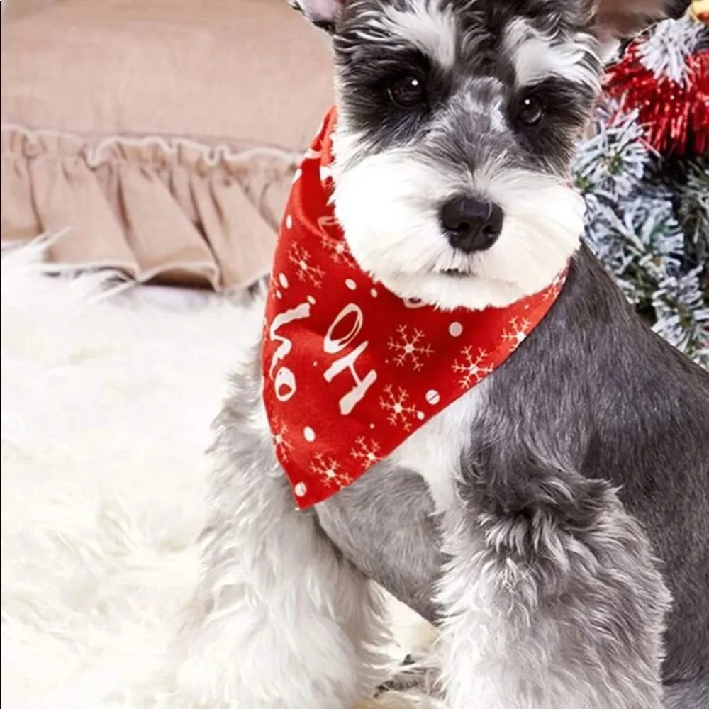 N/A ho bandana