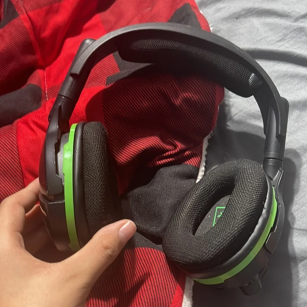 turtle beach turtle beach