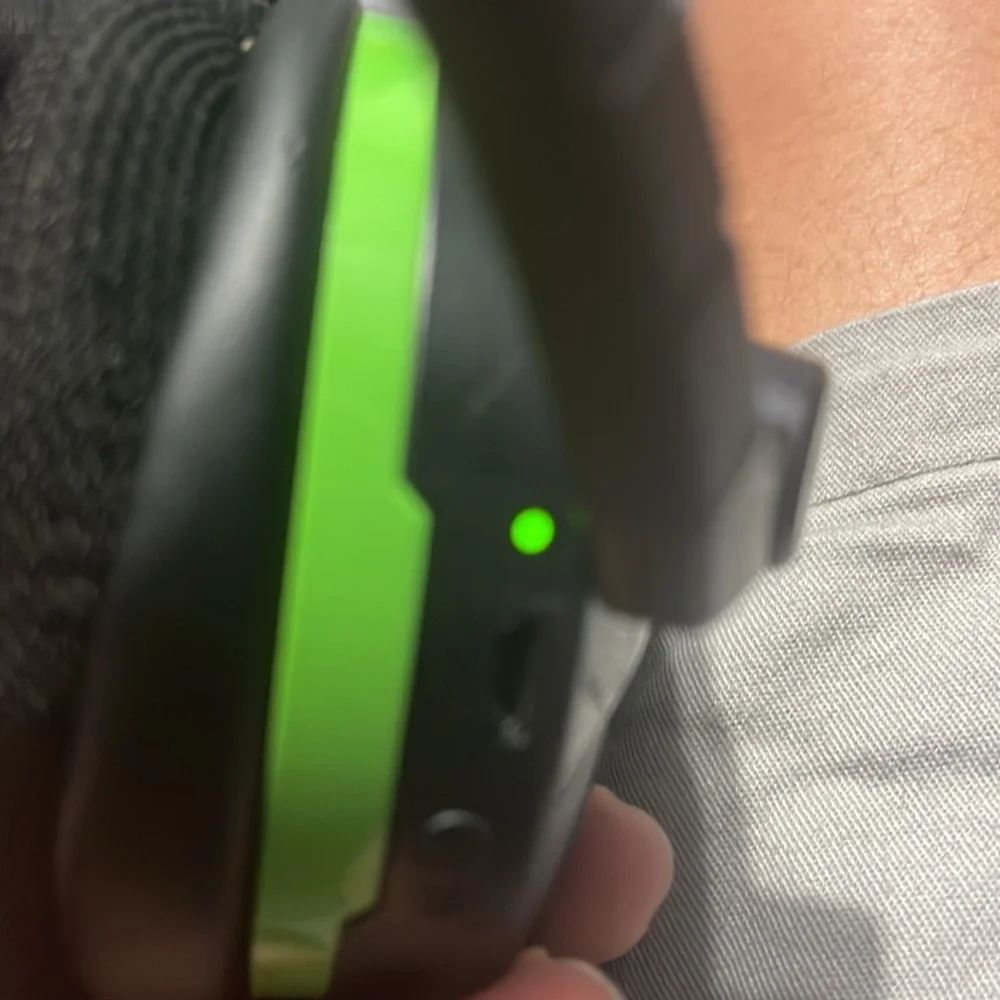 turtle beach turtle beach