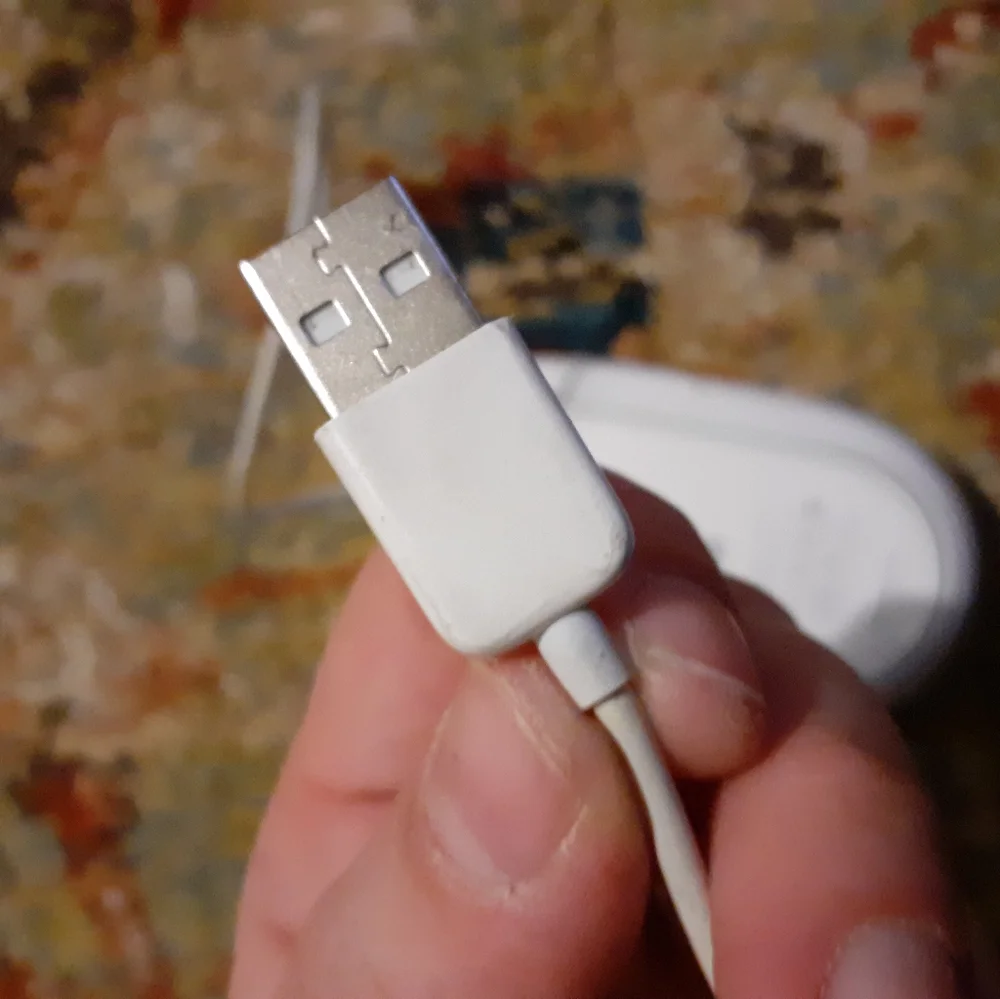 Apple wired mouse