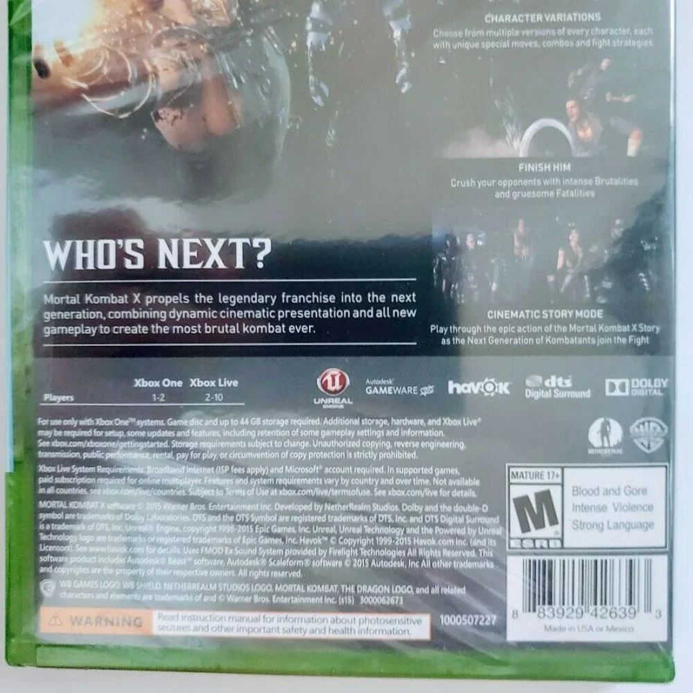 Microsoft brothers xbox