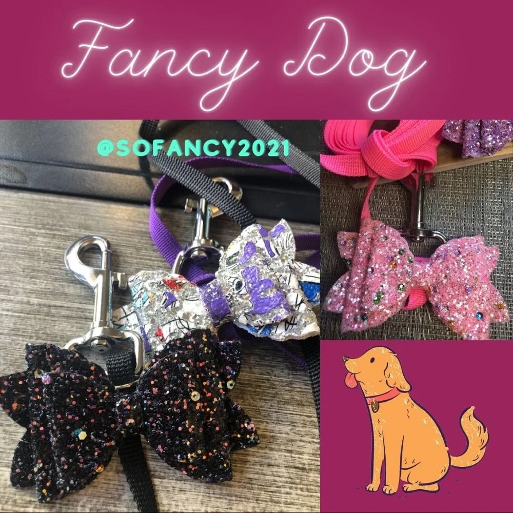 #14 Dog Leash and Detachable Bow Set in Sparkles🐾