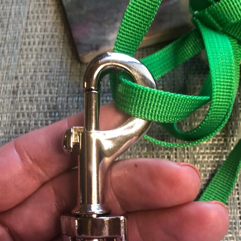 #14 Dog Leash and Detachable Bow Set in Sparkles🐾