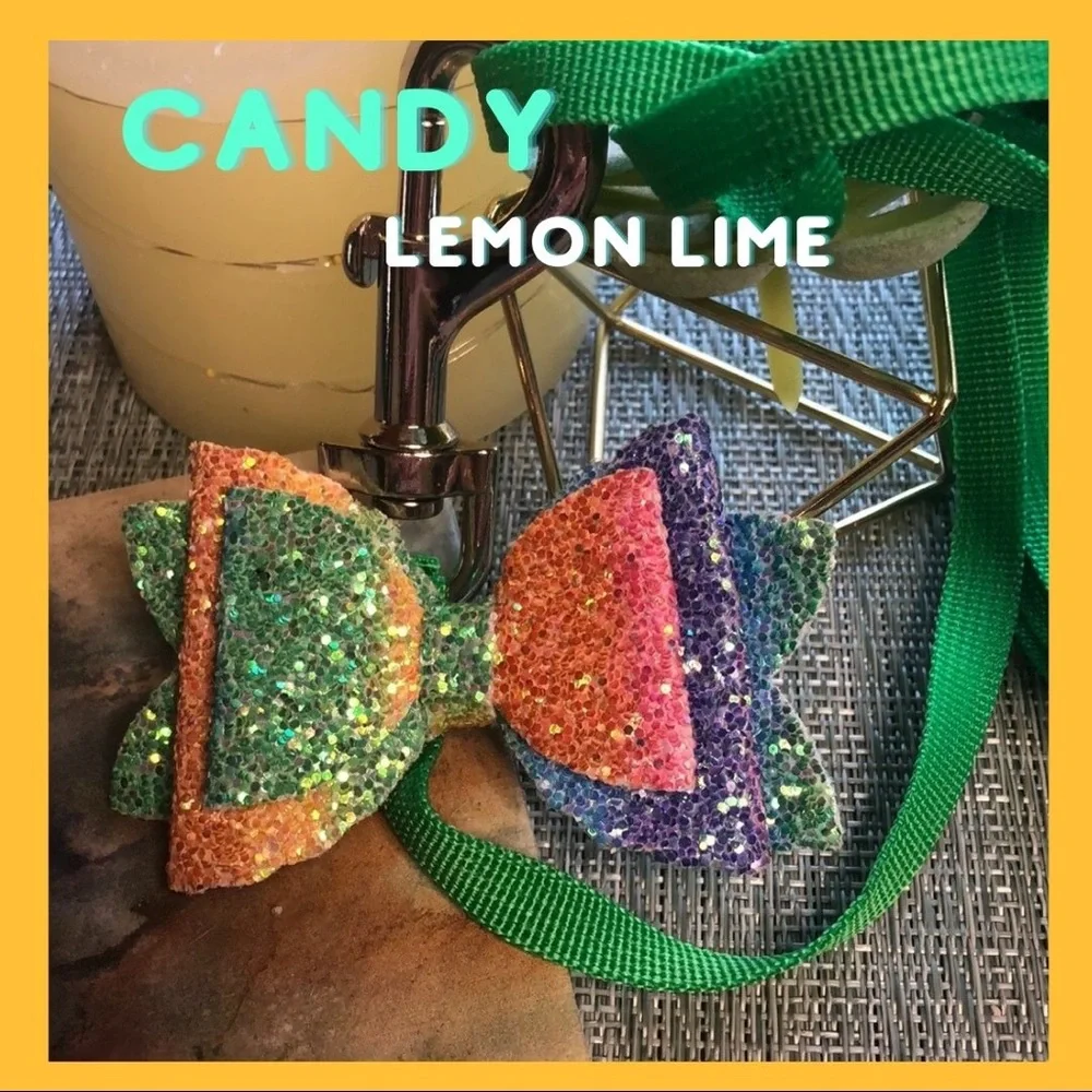 #14 Dog Leash and Detachable Bow Set in Sparkles🐾