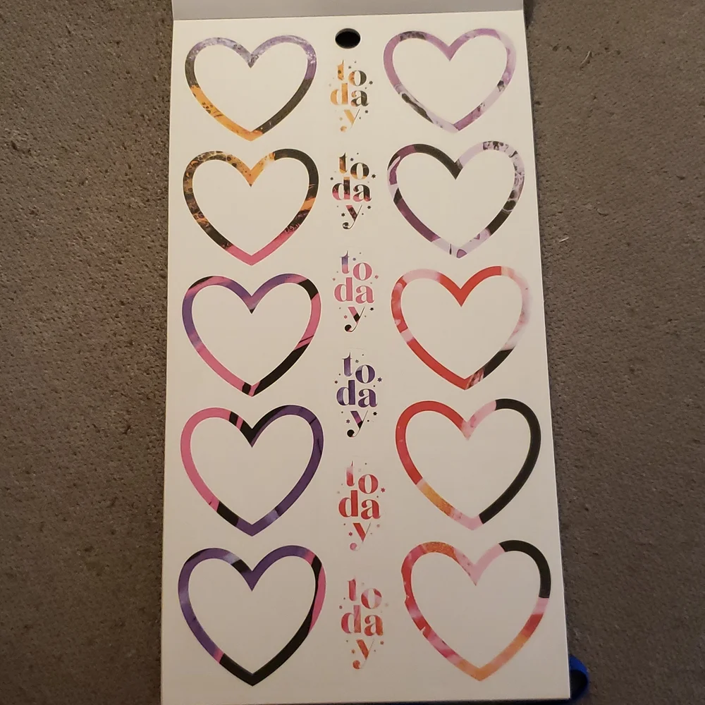 The Happy Planner whatever 100%