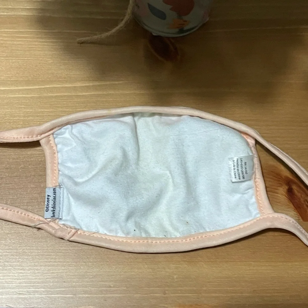 Disney Cinderella face mask