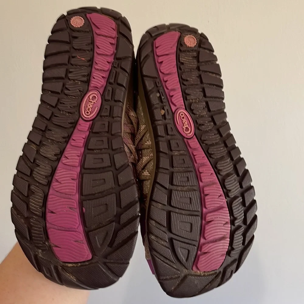 Chaco chacos outcross