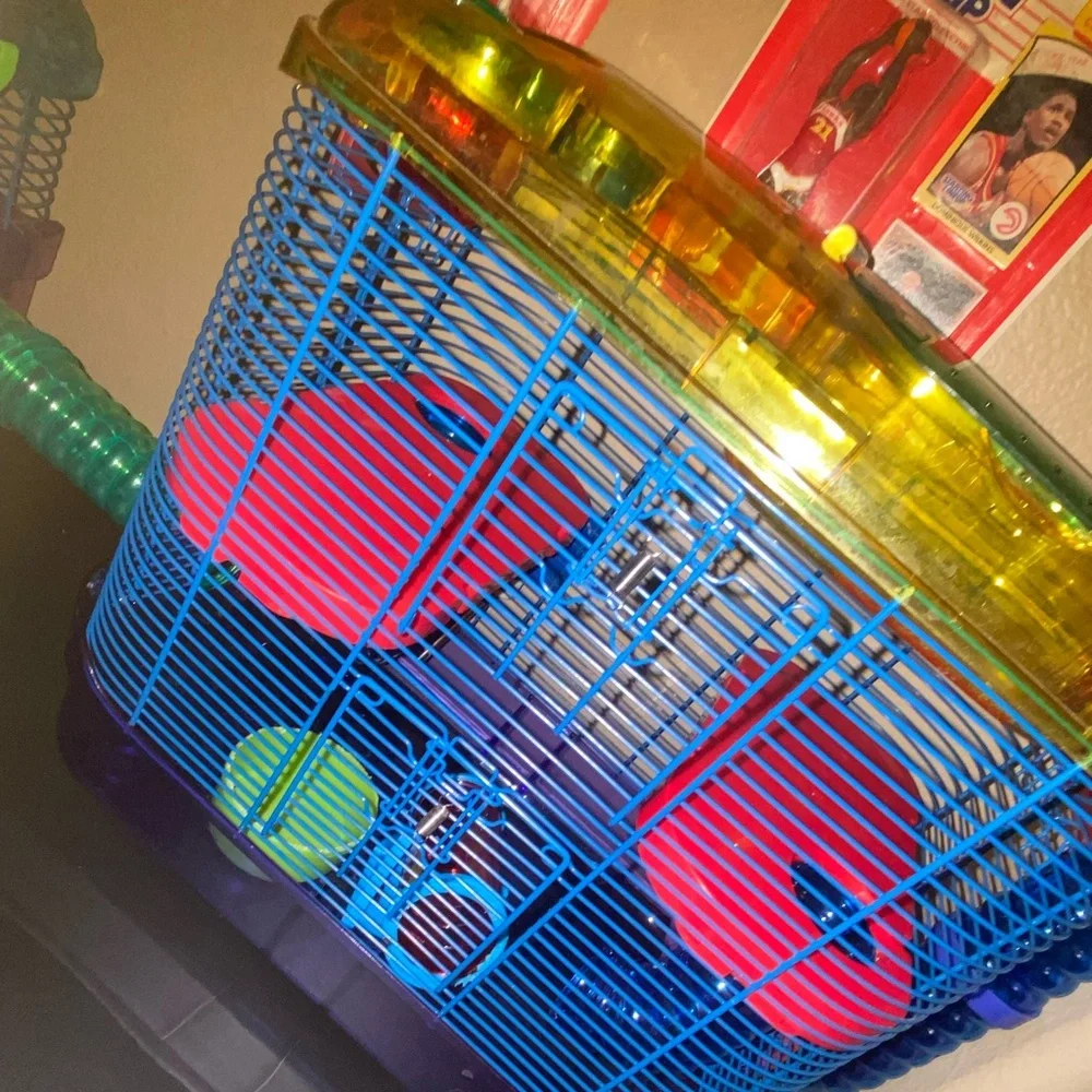 N/A have hamster