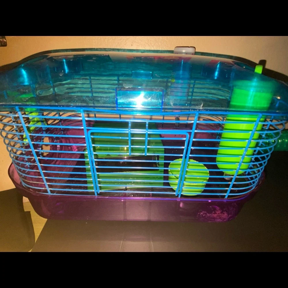 N/A have hamster