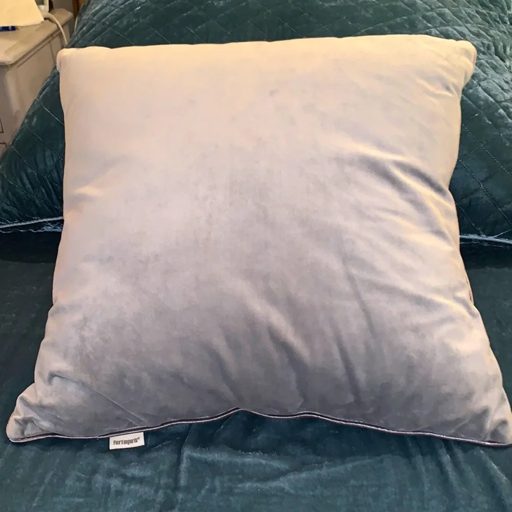 Pier 1 Imports Gray Velour Pillow