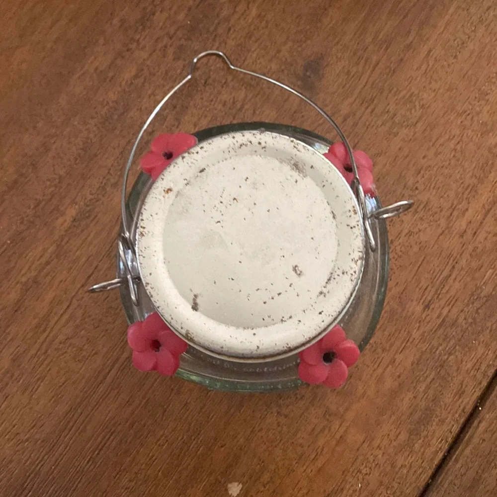 ☀️Baby Hummingbird Feeder