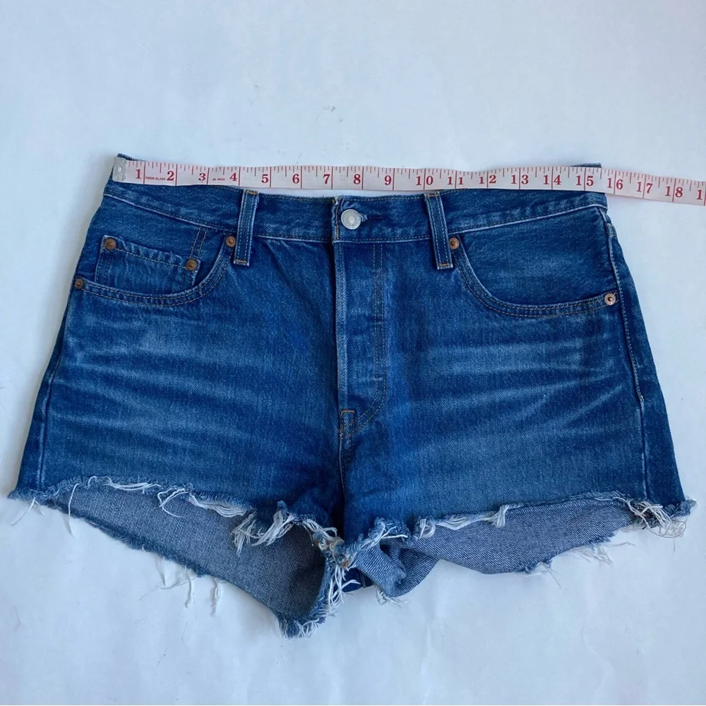 Levis approx rips great