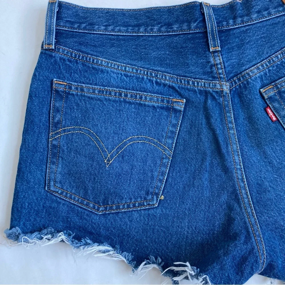 Levis buttonfly 15