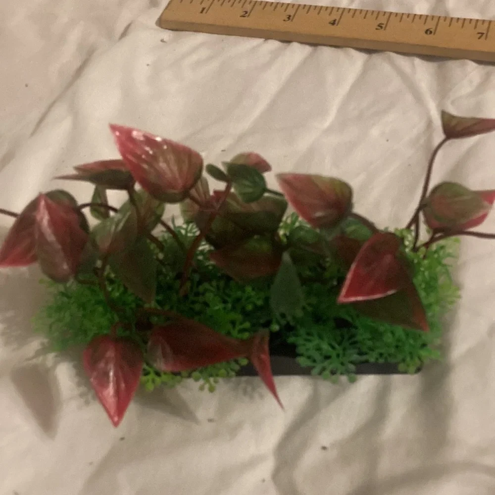 N/A walmart aquarium