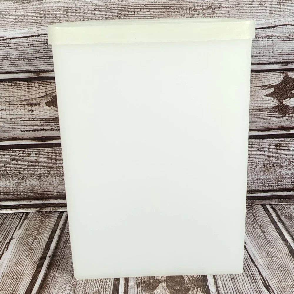 Tupperware vintage ice