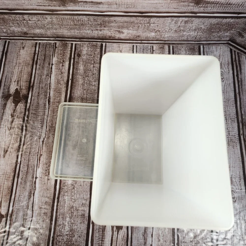Tupperware vintage ice