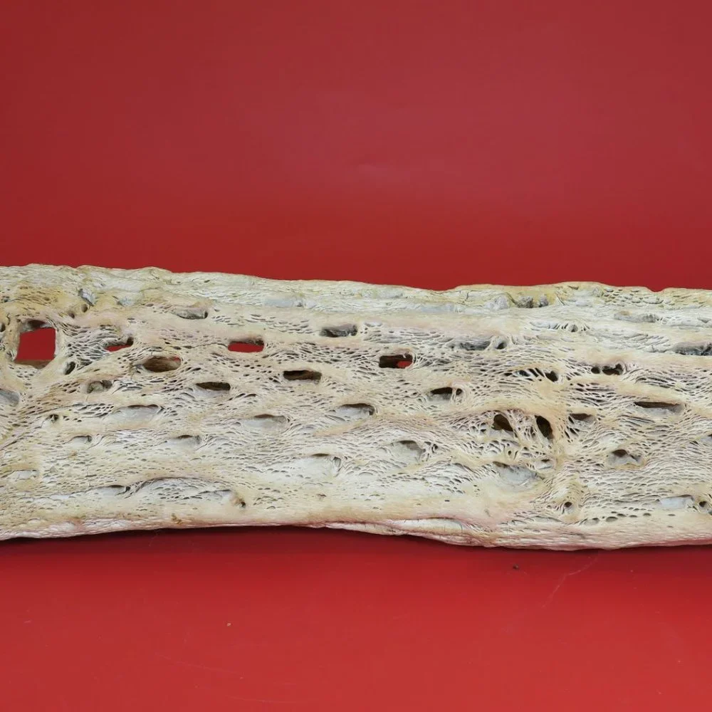N/A cactus wood