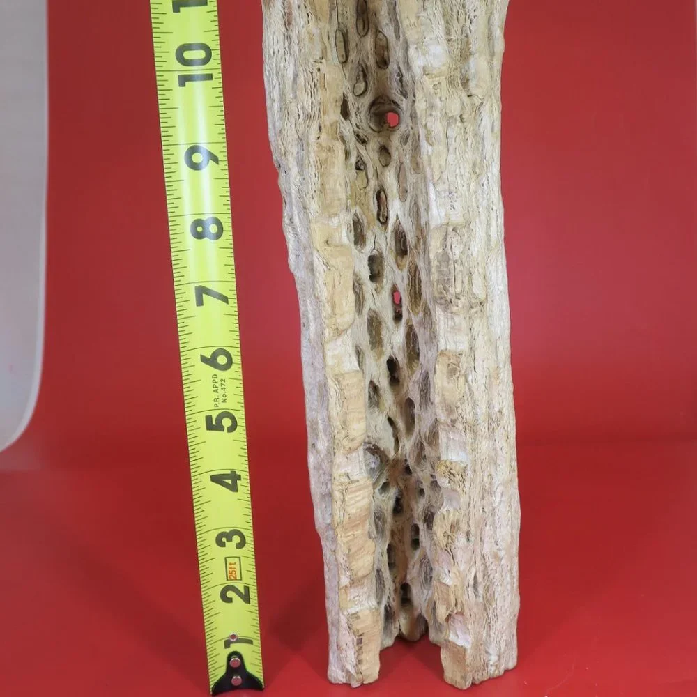 N/A cactus wood