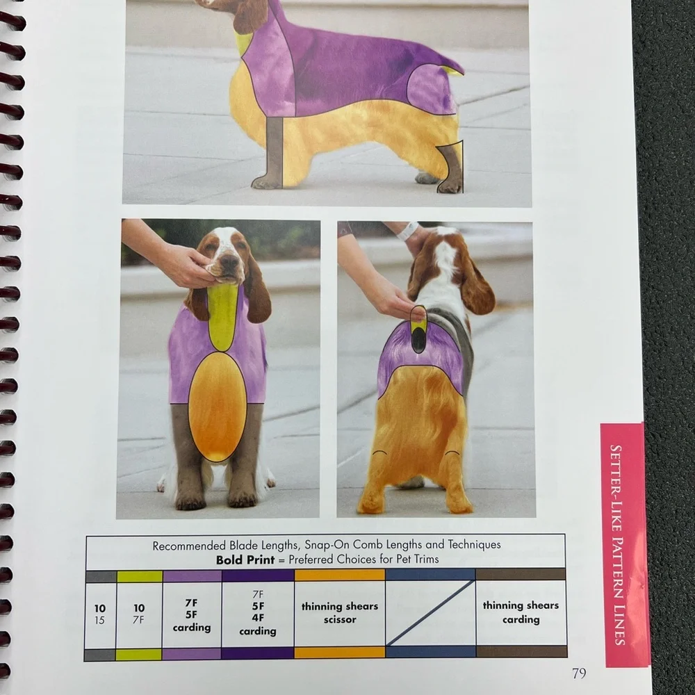 Dog Grooming Simplified: Straight to the Point