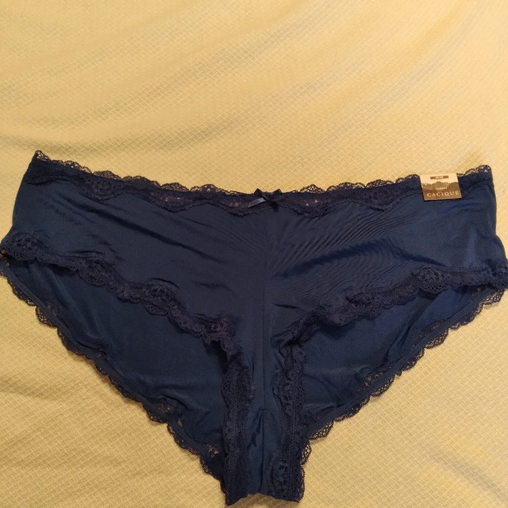Lane Bryant pairs sz