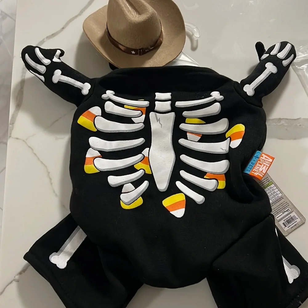 Dog costume