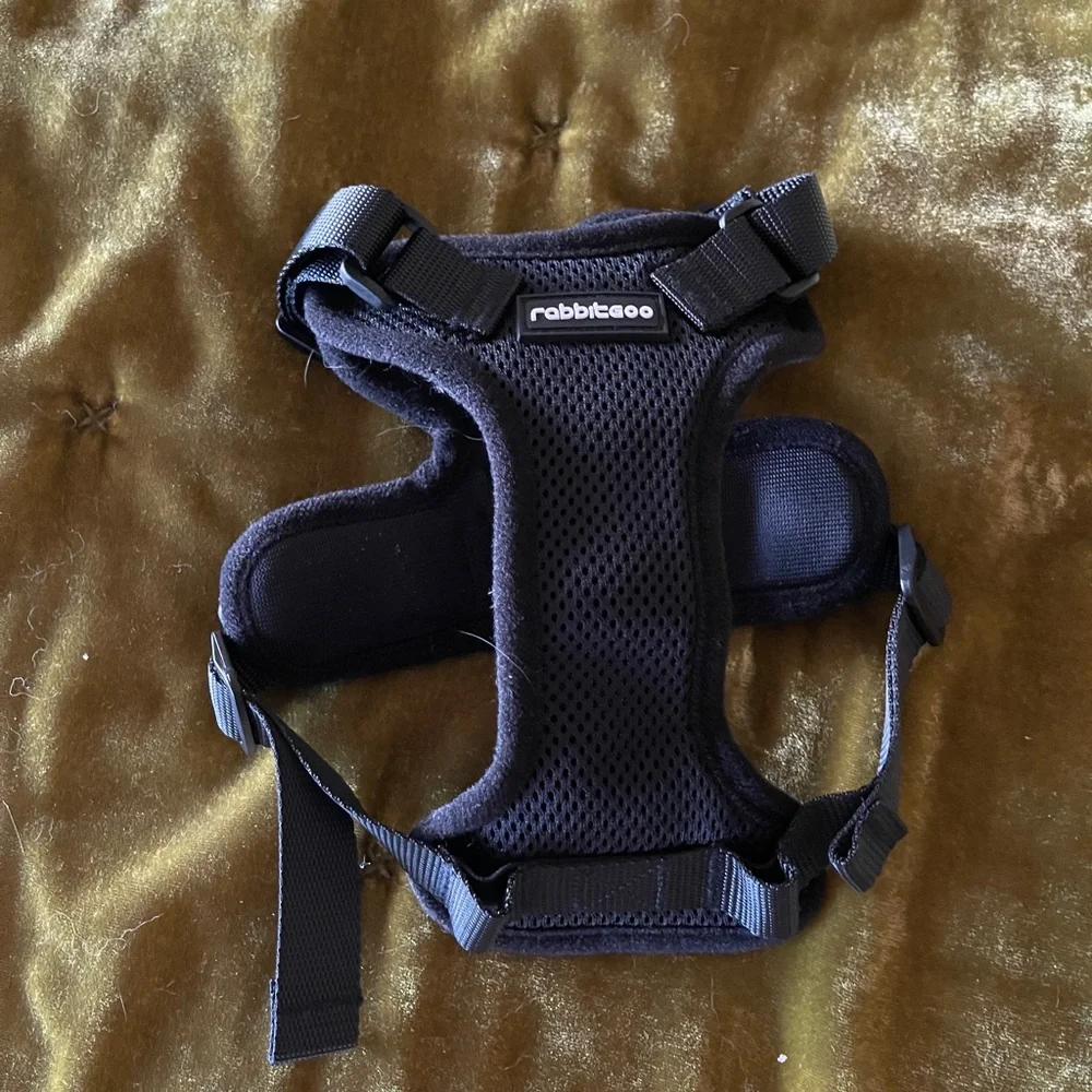 Cat Harness