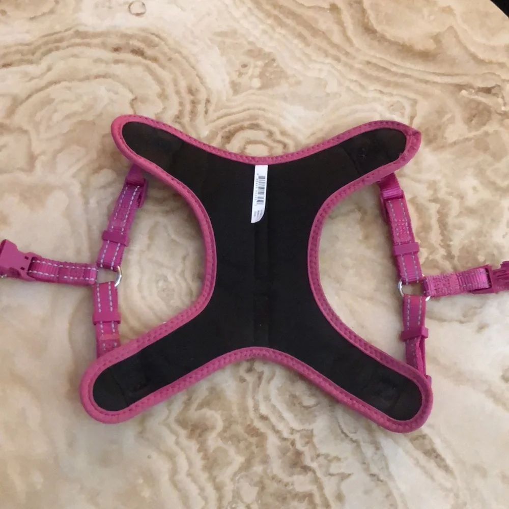 Petco pink dog