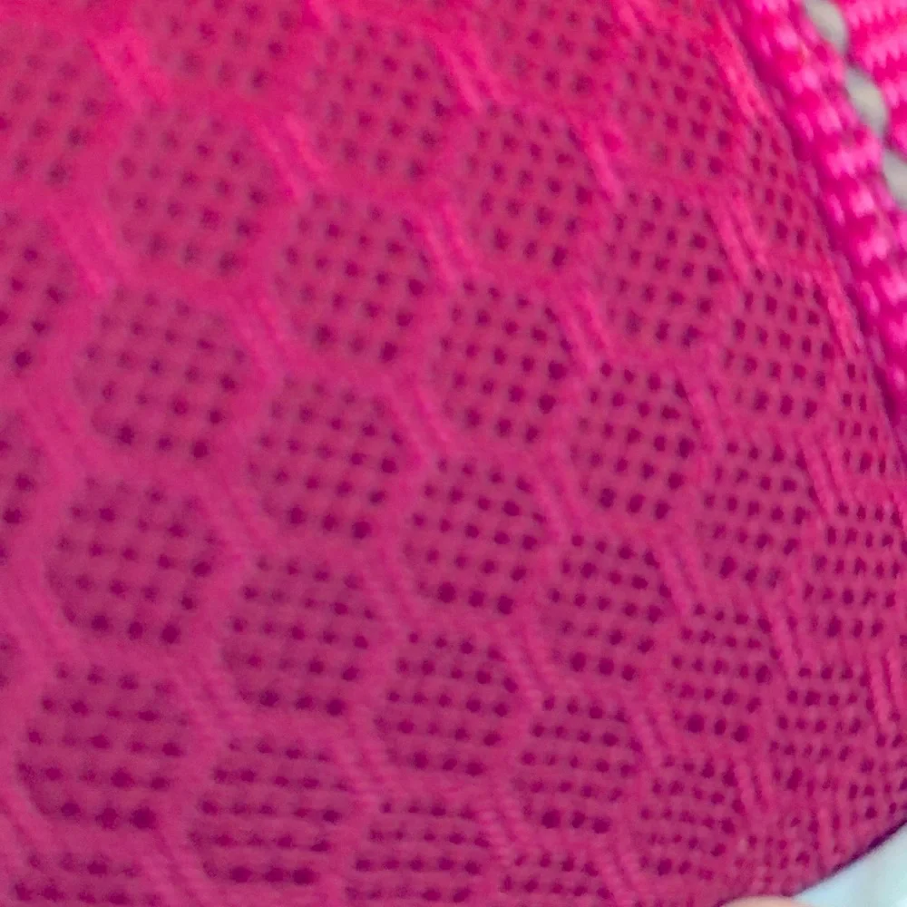 Petco pink dog