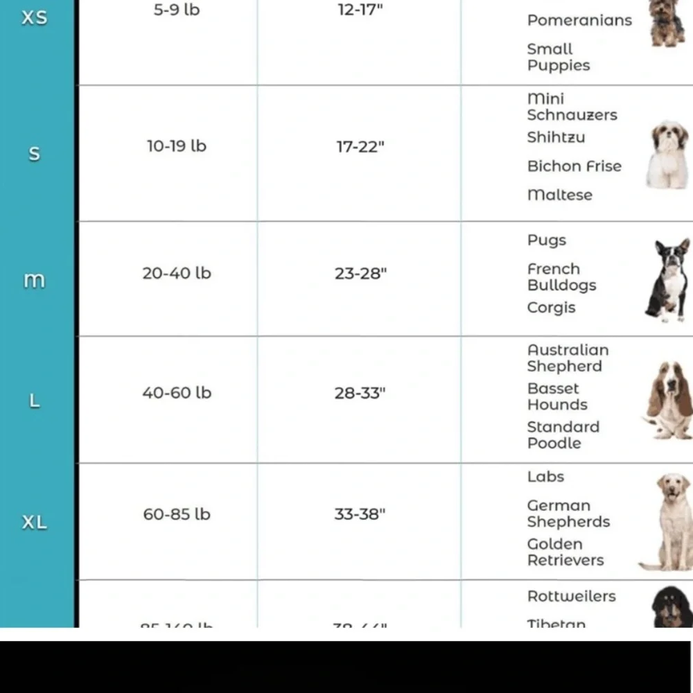 petcute back movement