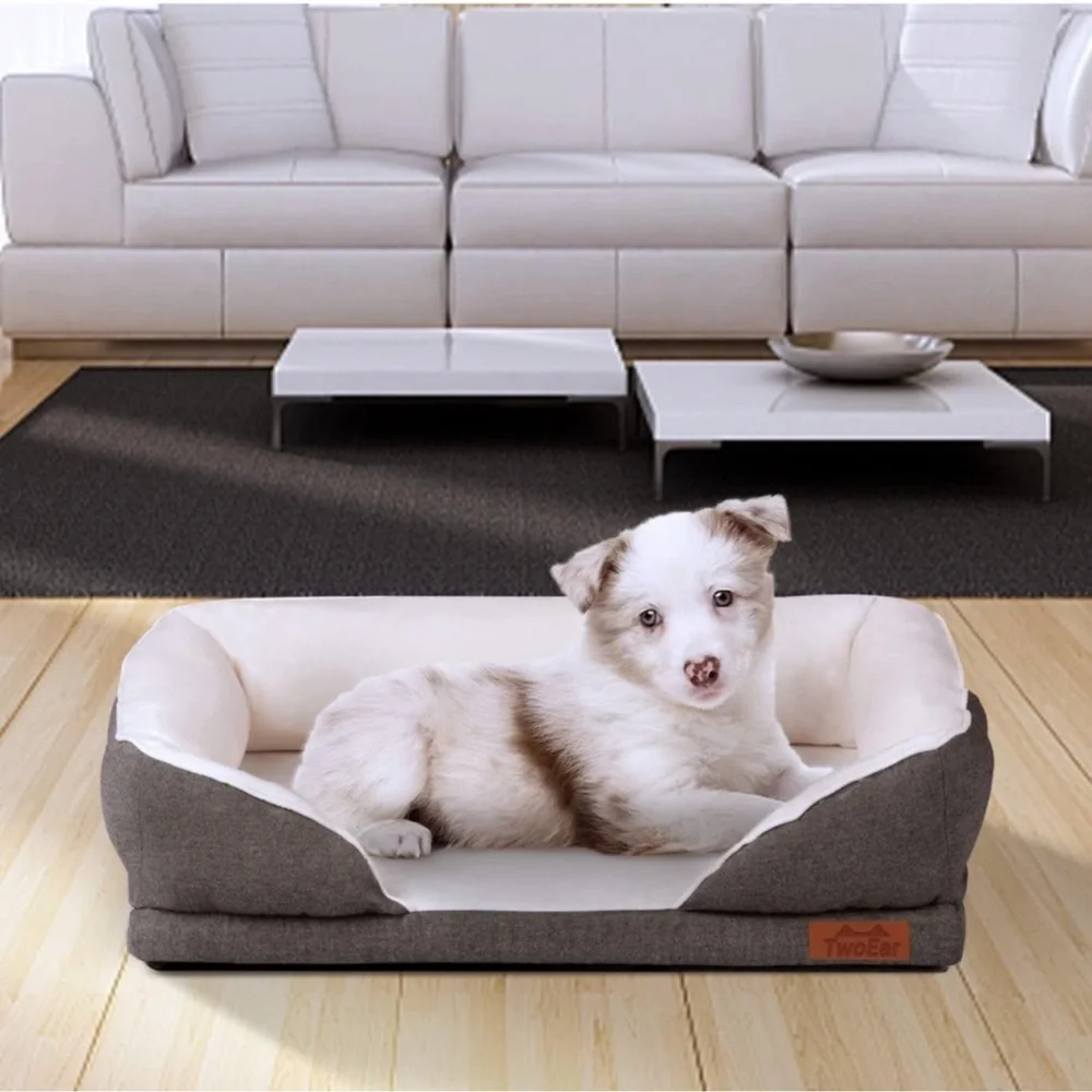 Dog Boutiquee questions leave