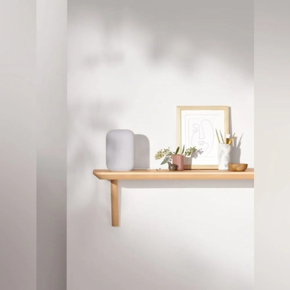 google meet nest