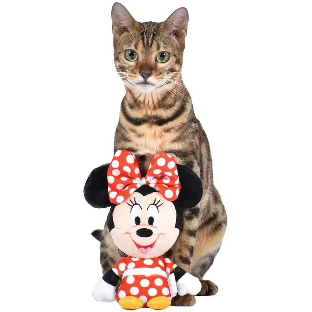 Disney warning everyone’s potential