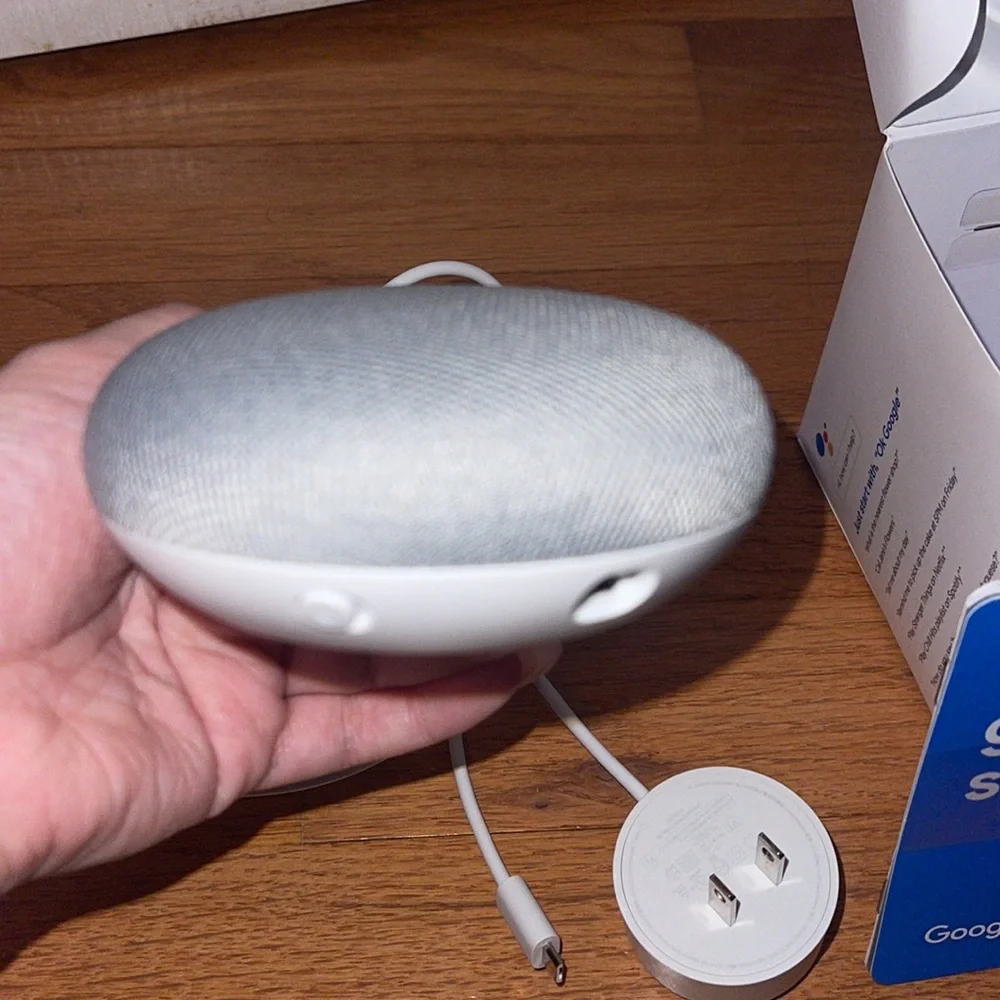 NEW Google Home Mini