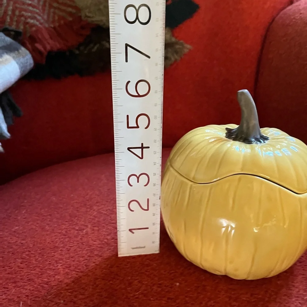 Crate&Barrel pumpkin bowl