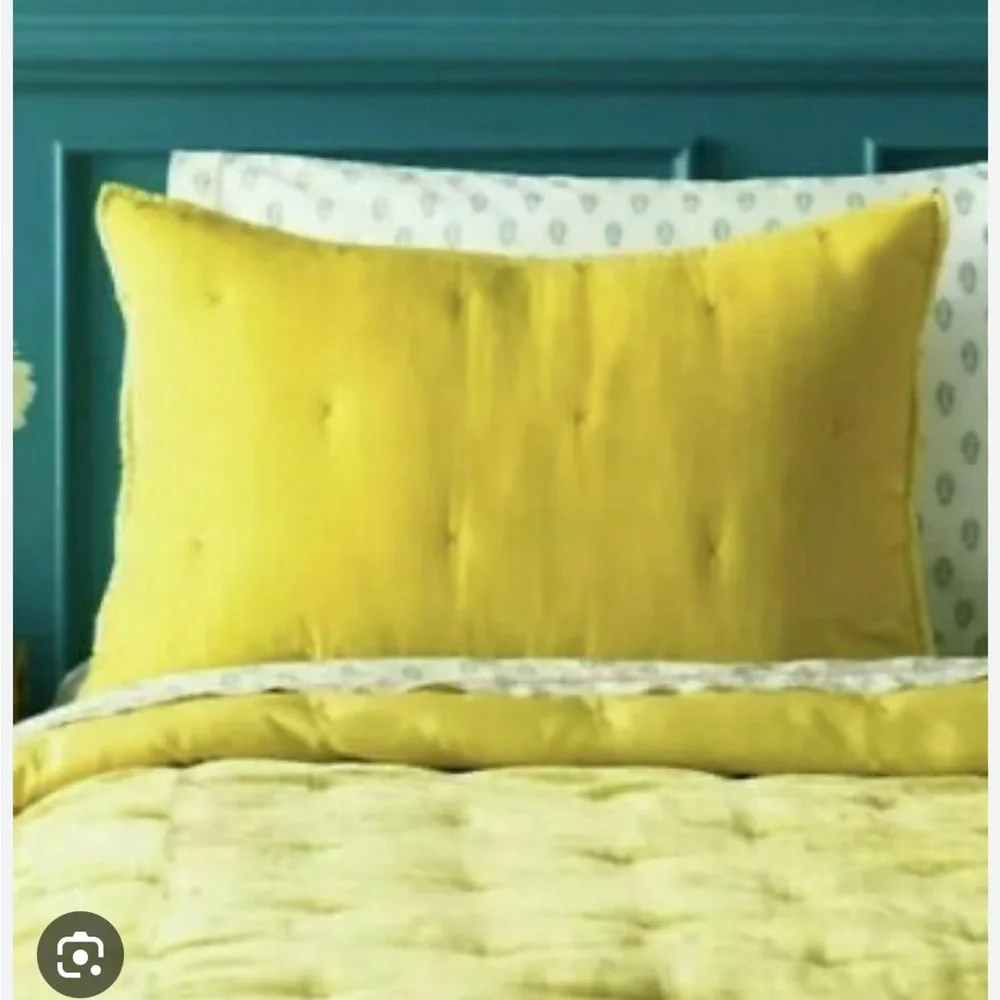 Opal House target velvet
