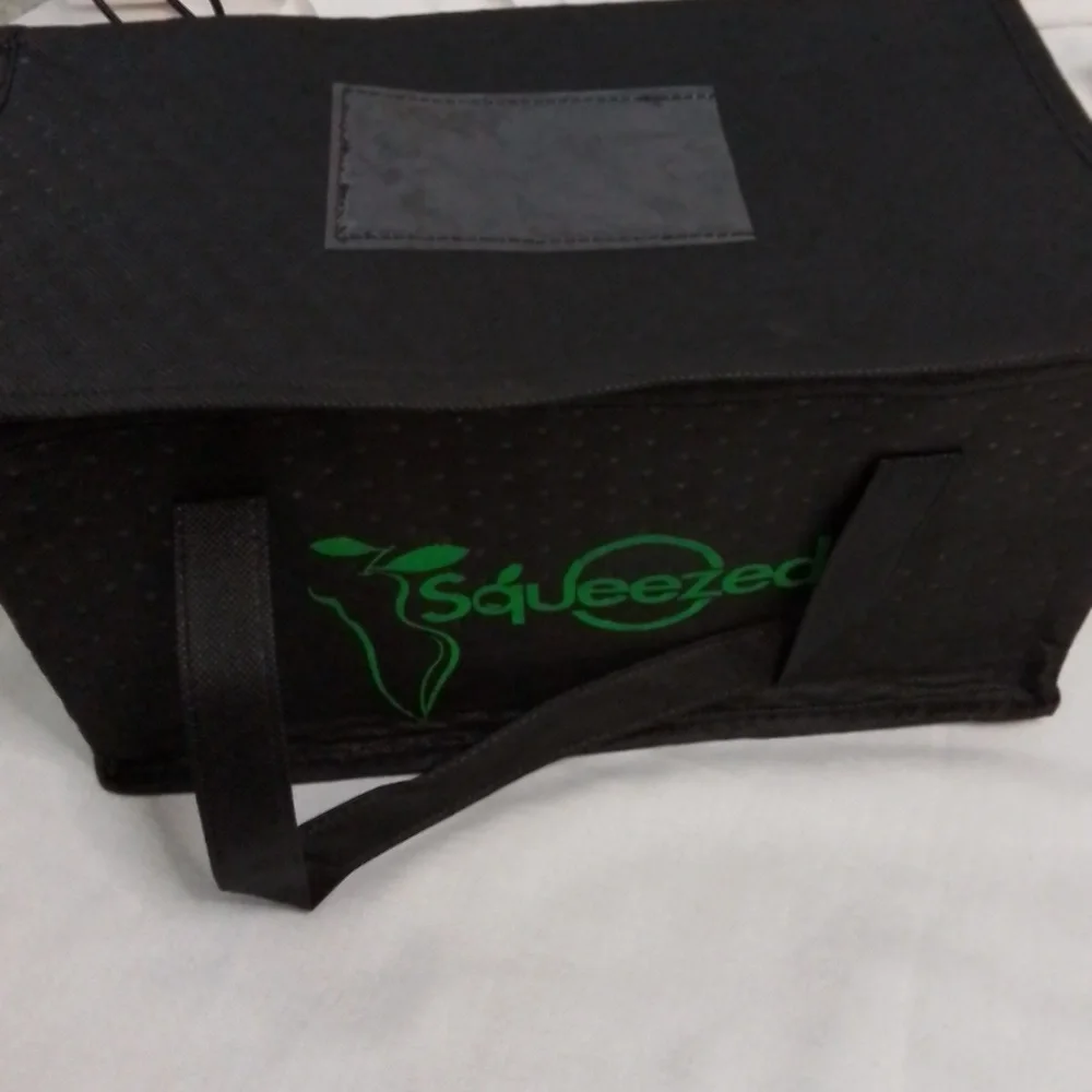 Nwot Foldable underbed zippered storage bags and insulated cooler