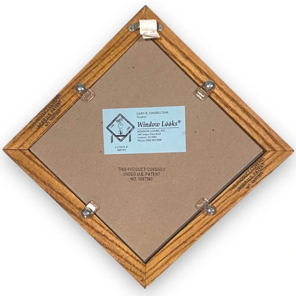 Wrestling Memorabilia Display Shelf and Mirror