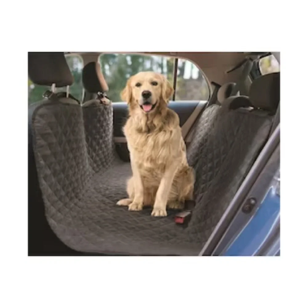 chewy co pilot