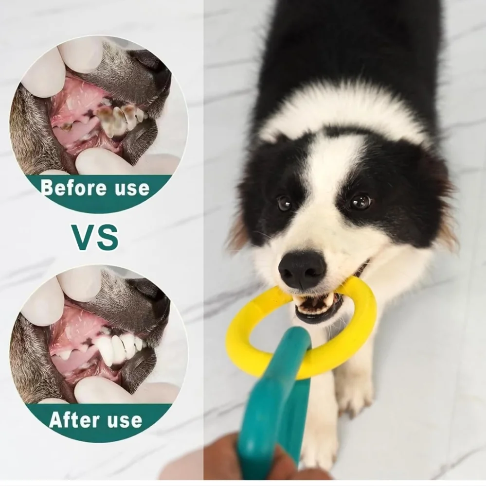 Heart4Kids *interactive dog