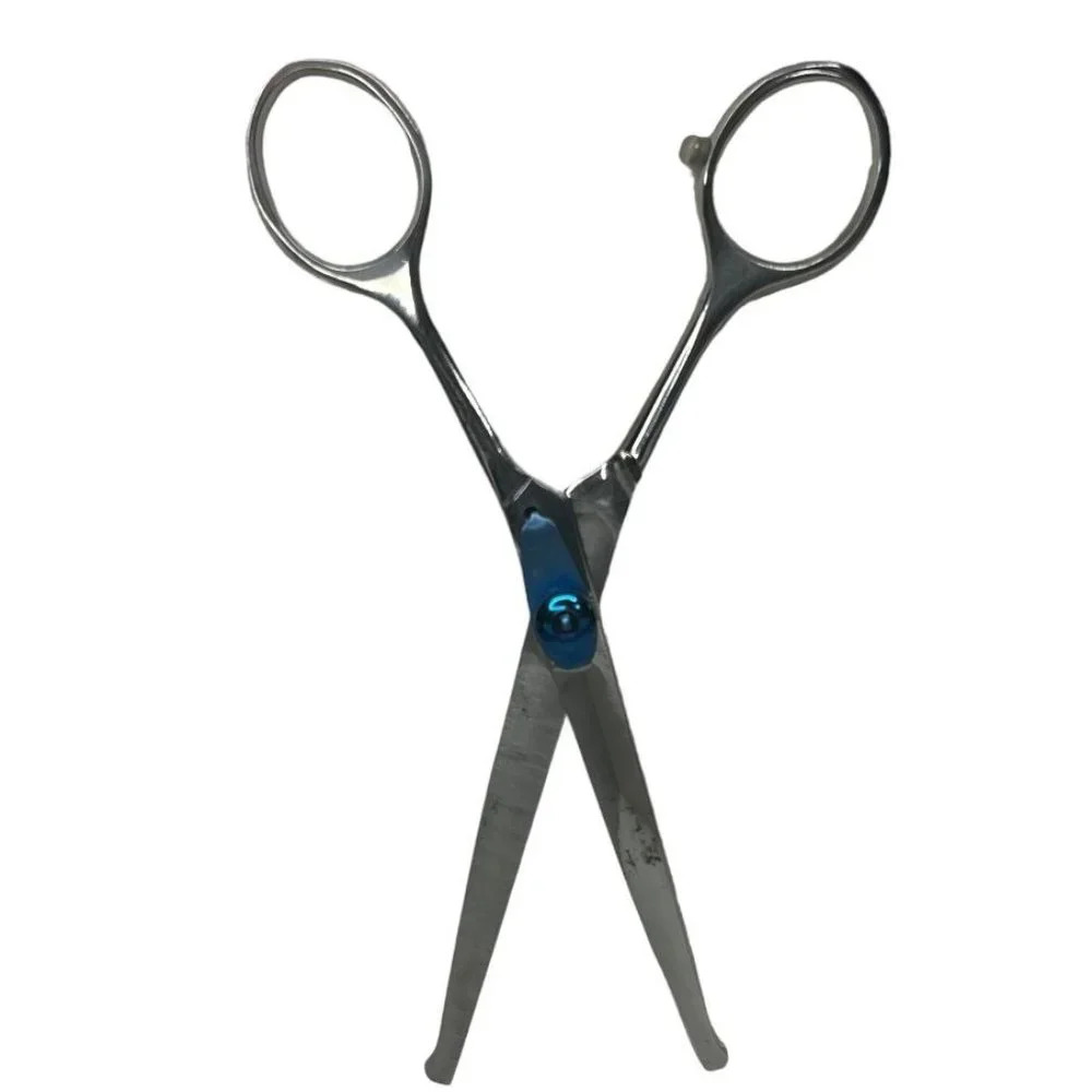 Vintage Curved Scissors With Blunt Tips
