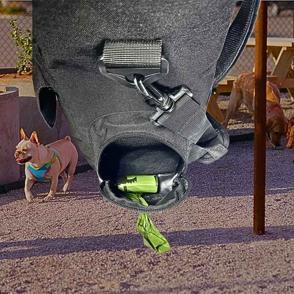 Playful Paws get your