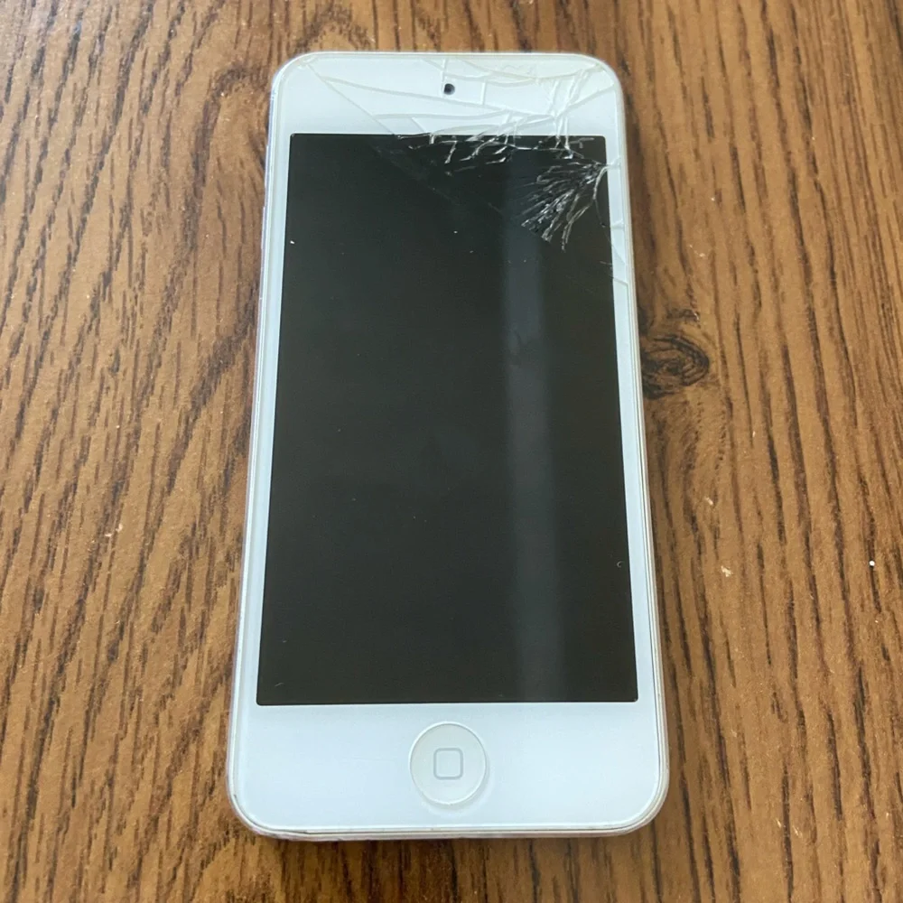 Apple ipod touch