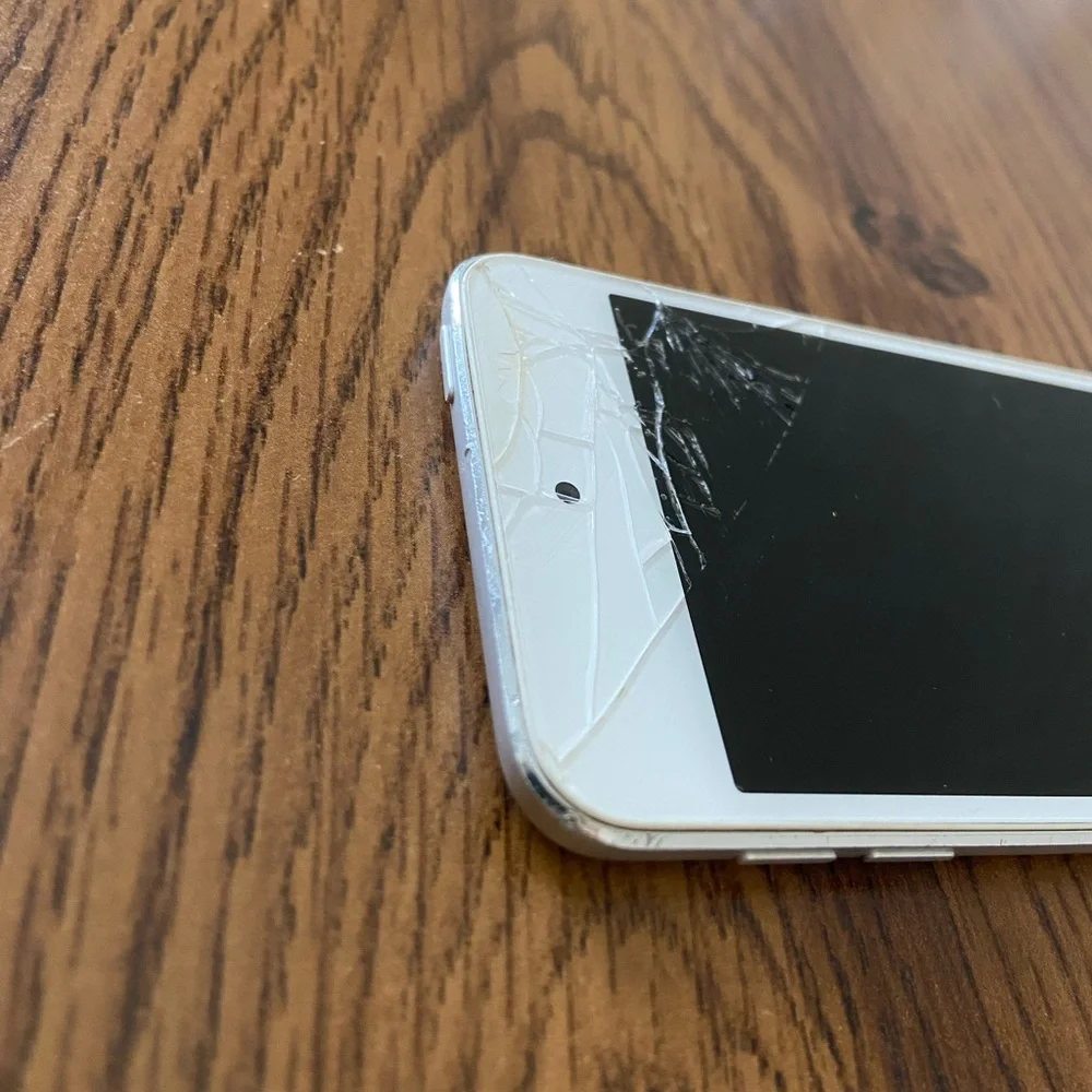 Apple ipod touch
