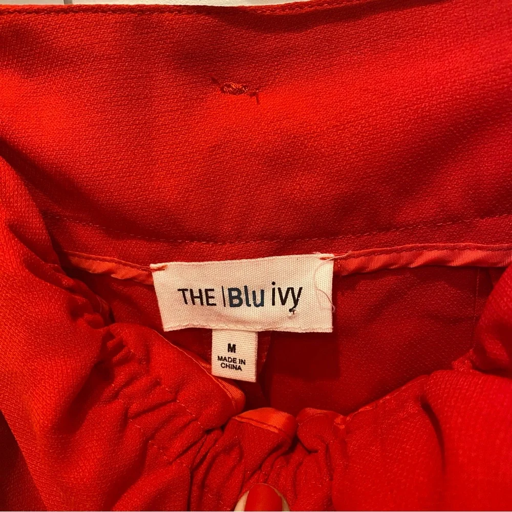 NWOT Blu Ivy Shorts