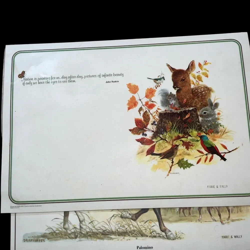 AmericaMark cute set