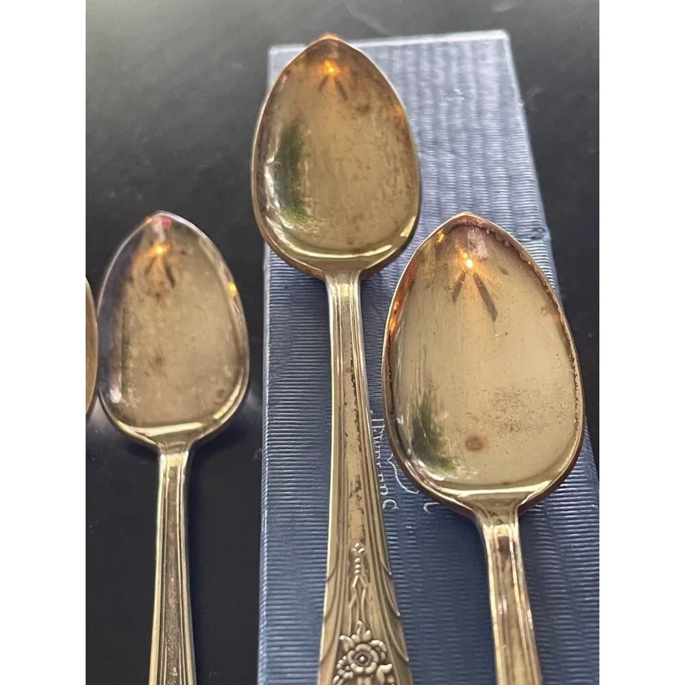 Newport tasse plated