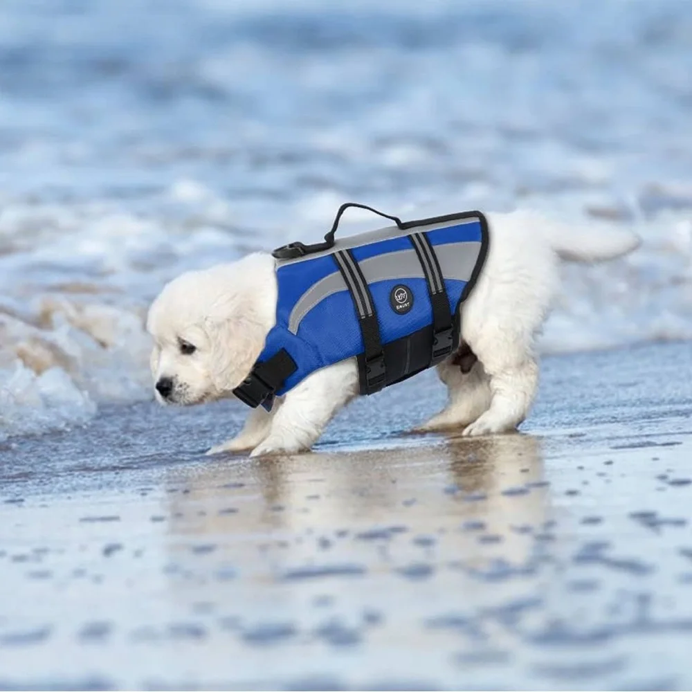 N/A emust dog