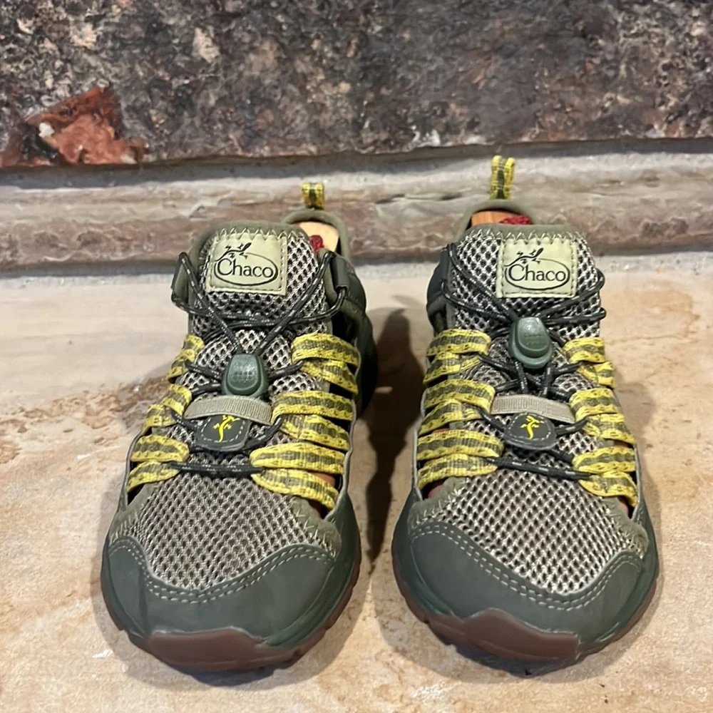 Chaco outcross avocado