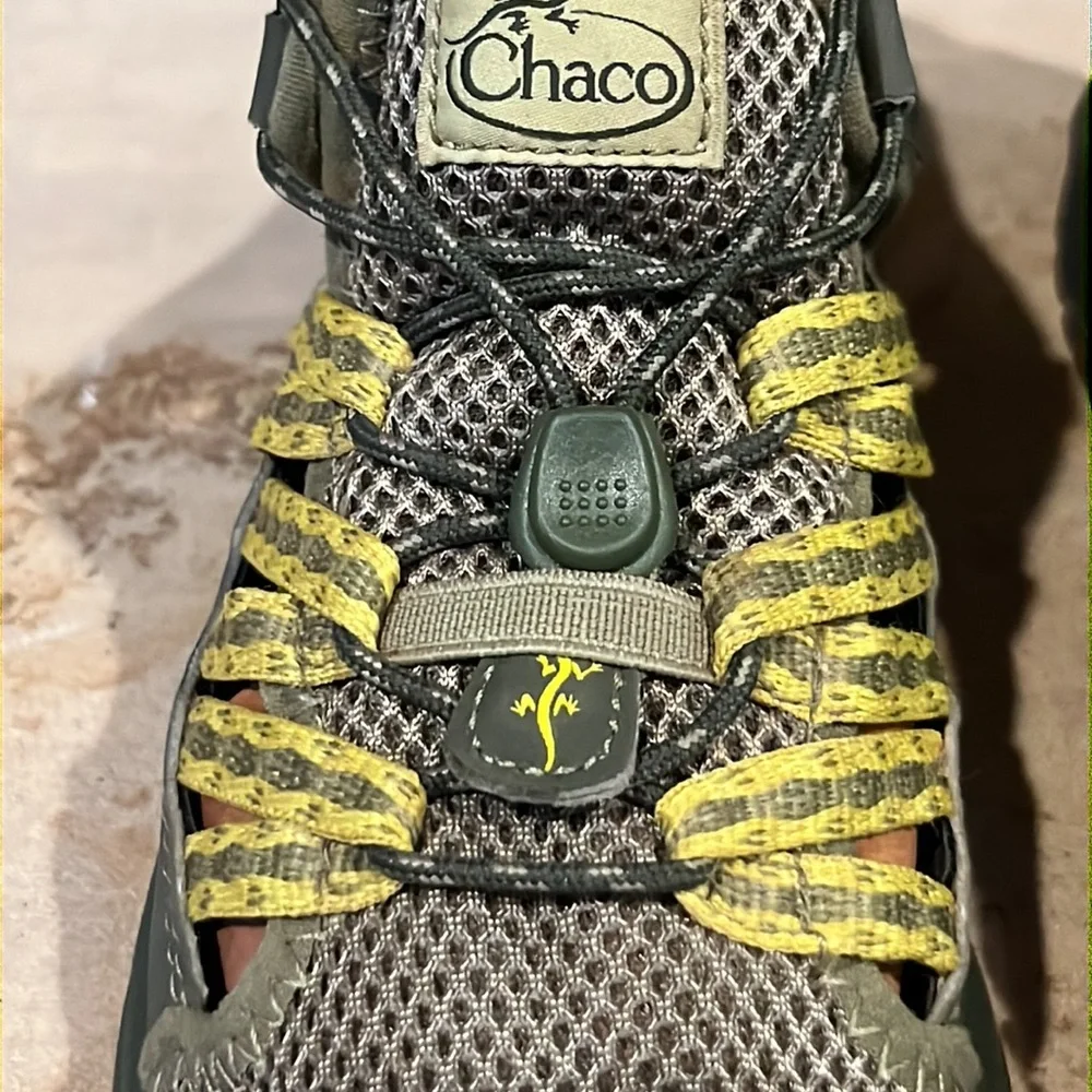 Chaco outcross avocado