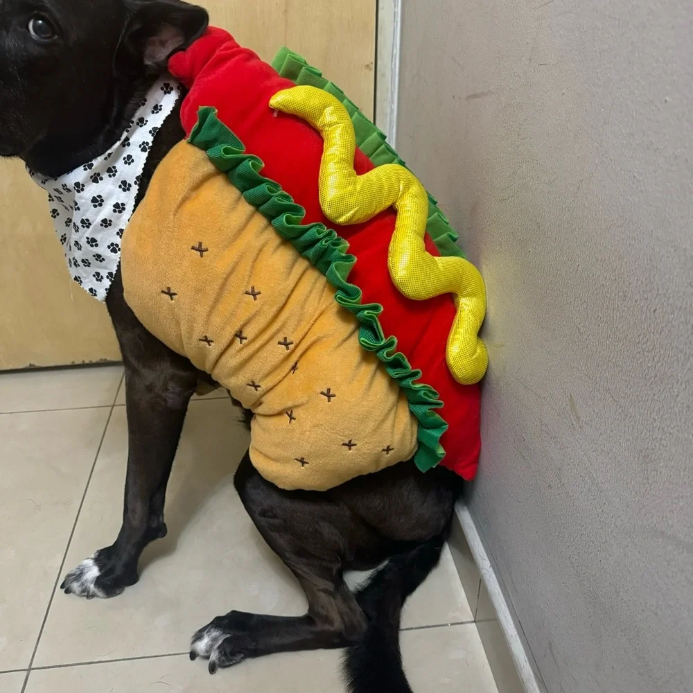 N/A halloween hot